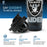 Officially Licensed Las Vegas Raiders 4D Ice Shaker