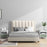 Modern Nightstand with LED Lights Sliding Drawer and Open Compartment-White