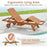 Outdoor Chaise Lounge Chair with Wheels 4-Position Patio Wood Recliner with Adjustable Backrest