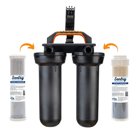 SENTRY PORTABLE SYSTEM