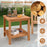 Patio Acacia Wood Side Table Set of 2 with Slatted Tabletop and Storage Shelf