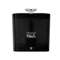 Smart Water Fountain