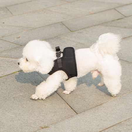 Mr. Peanut's PupTrek Soft Mesh Pet Harness with Matching Leash – Adjustable, Breathable, Choke-Free