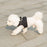 Mr. Peanut's PupTrek Soft Mesh Pet Harness with Matching Leash – Adjustable, Breathable, Choke-Free