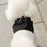 Mr. Peanut's PupTrek Soft Mesh Pet Harness with Matching Leash – Adjustable, Breathable, Choke-Free