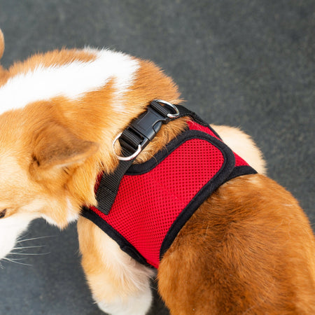 Mr. Peanut's PupTrek Soft Mesh Pet Harness with Matching Leash – Adjustable, Breathable, Choke-Free