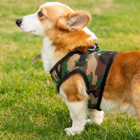 Mr. Peanut's PupTrek Soft Mesh Pet Harness with Matching Leash – Adjustable, Breathable, Choke-Free