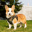 Mr. Peanut's PupTrek Soft Mesh Pet Harness with Matching Leash – Adjustable, Breathable, Choke-Free