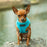 Mr. Peanut's PupTrek Soft Mesh Pet Harness with Matching Leash – Adjustable, Breathable, Choke-Free