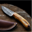 Damascus Blaze Neck Knife - Titan TD-200