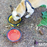 Mr. Peanut's Collapsible Silicone Pet Travel Bowls - 12oz