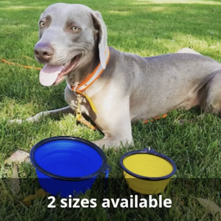 Mr. Peanut's Collapsible Silicone Pet Travel Bowls - 12oz