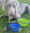 2 Pak XL 34oz Collapsible Travel Bowls for Larger Pets