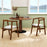 Set of 2 Solid Rubber Wood Dining Room Chairs with Wrap-around Armrest-Walnut