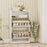 Shoe Storage Cabinet Hidden Shoe Rack with 2 Flip Drawers Adjustable and Removable Shelves-White