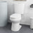 Standard Toilet with 17.5 Inch ADA Comfort Chair Height Seat