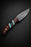 Hand-Forged Damascus Steel Drop Point Outdoor Utility Tool | Rosewood, Turquoise & Black Honeycomb Handle - TK-503