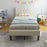 Twin Size Upholstered Platform Bed with Button Tufted Headboard-Beige