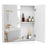 Double Door Bathroom Wall Cabinet with Mirror and Adjustable Shelf