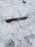 Damascus Knife perfect Utility Neck Knife TD-239