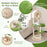 55 Inch Tall Cat Climbing Stand with Sisal Scratching Posts and Soft Cat Bed for Indoor Kittens-Green