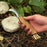 Forged Mushroom Knife with Brush, 6.5 cm (2.56 inches)