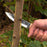 Hand-Forged Bushcraft Knife, 10 cm (3.9 in) Blade with Leather Sheath