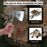 Hand-Forged Camping (Chopping) Axe, 0.6 kg (1.32 Ibs)