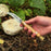 Hand-Forged Knife for Mushroom Foraging, 8 cm (3.15 inches)