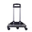 Mr. Peanut's Pet Carrier/Luggage Bag Spinner Wheelbase Luggage Cart