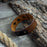 Leather Wrist Pencil Mount – 23.5 cm (9.25 inches)