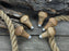 Palm Grip Handles for Wood Carving Tools (Set of 5), 6 cm (2.36 in)