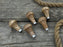 Palm Grip Handles for Wood Carving Tools (Set of 5), 6 cm (2.36 in)