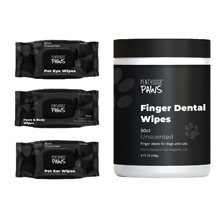 Complete 4-in-1 Pet Grooming Wipes Kit