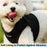Mr. Peanut's PupTrek Soft Mesh Pet Harness with Matching Leash – Adjustable, Breathable, Choke-Free