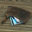 The Cael | Handmade Leather Coin Purse with Zipper