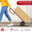 P-Handle Sack Truck with 10 Inch Wheels and Foldable Load Area-Red