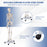 Medical School Human Anatomy Class Life-size Skeleton Model