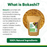 Premium Bokashi Bran Compost Starter