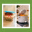 Daily Kitchen Compost Caddy