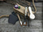 The Perfect Spoon Carving Kit for Beginners