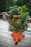 Garden Tower 2™ Move and Grow Bundle (Dropship)